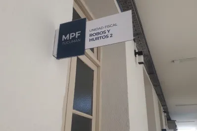 Entraron una casa y se llevaron los juguetes y hasta los cachorros de la familia