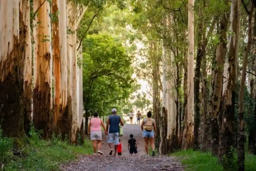 ESCAPADA FAMILIAR. La práctica del senderismo es ideal para empezar a conocer la naturaleza tucumana.