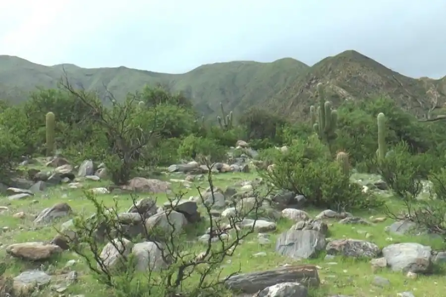 Descubrí Talapazo: un destino único que conecta con la naturaleza y la historia