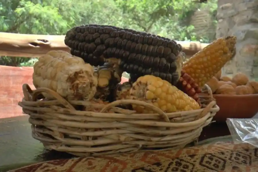 Descubrí Talapazo: un destino único que conecta con la naturaleza y la historia