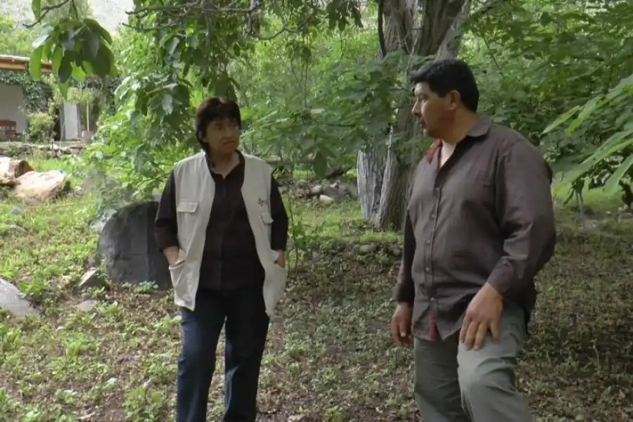 Descubrí Talapazo: un destino único que conecta con la naturaleza y la historia