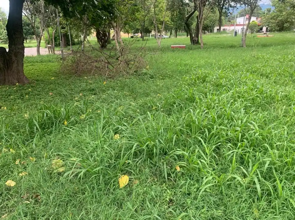 LA GACETA en WhatsApp: abandono de la plaza del barrio Modelo