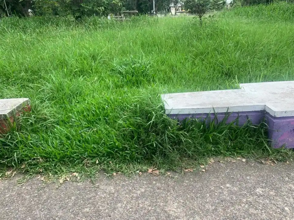 LA GACETA en WhatsApp: abandono de la plaza del barrio Modelo