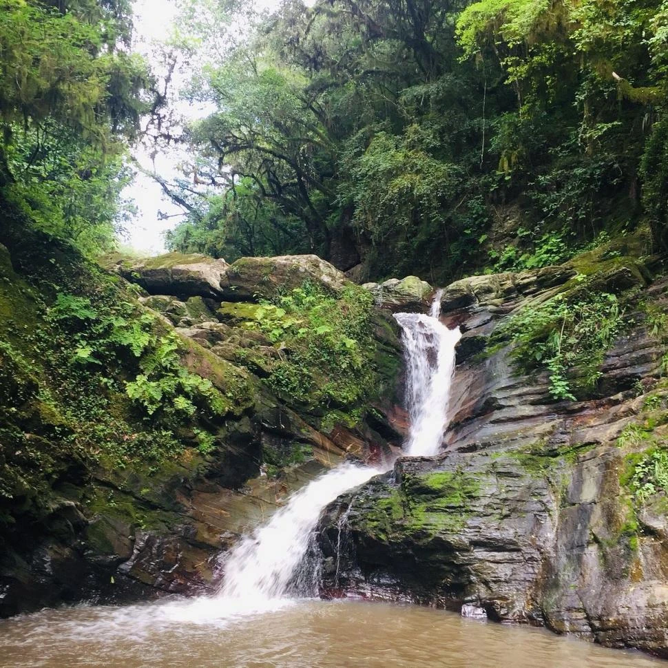 MARAVILLA EN ESTADO PURO. Aventurarse permite encontrar bellezas, como esta cascada en Villa Padre Monti.