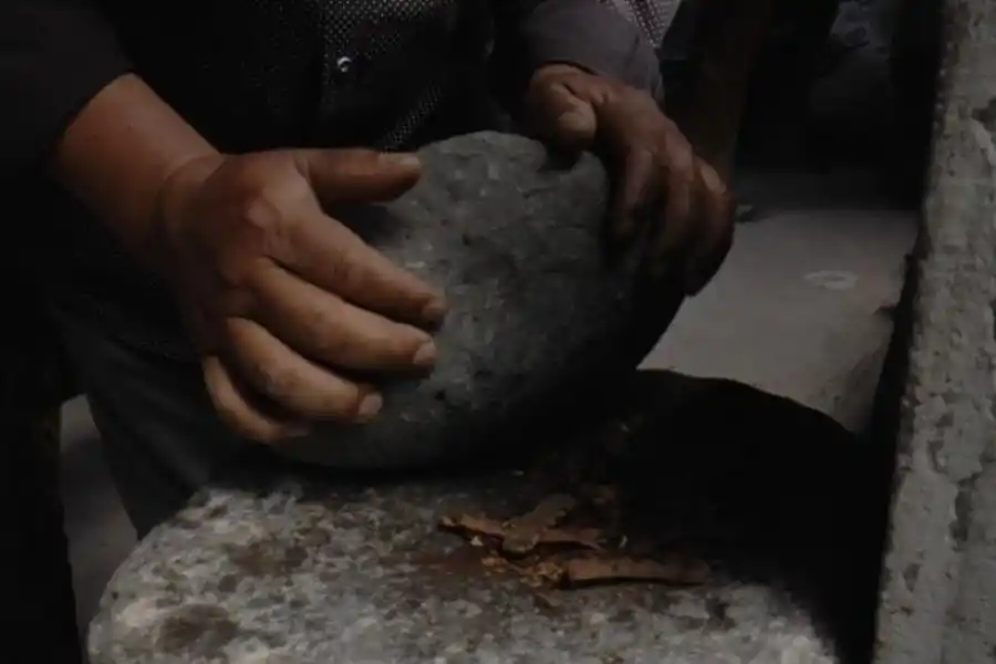 MOLIENDA. Se pulverizan las vainas.