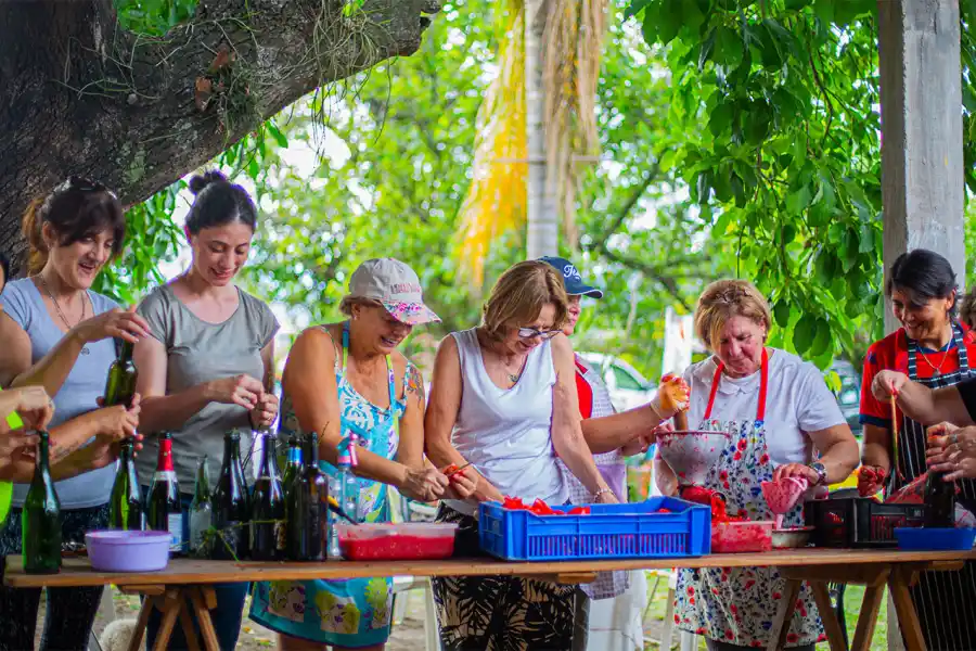 Las mujeres trituran el tomate mientras preparan las botellas con albahaca y laurel.