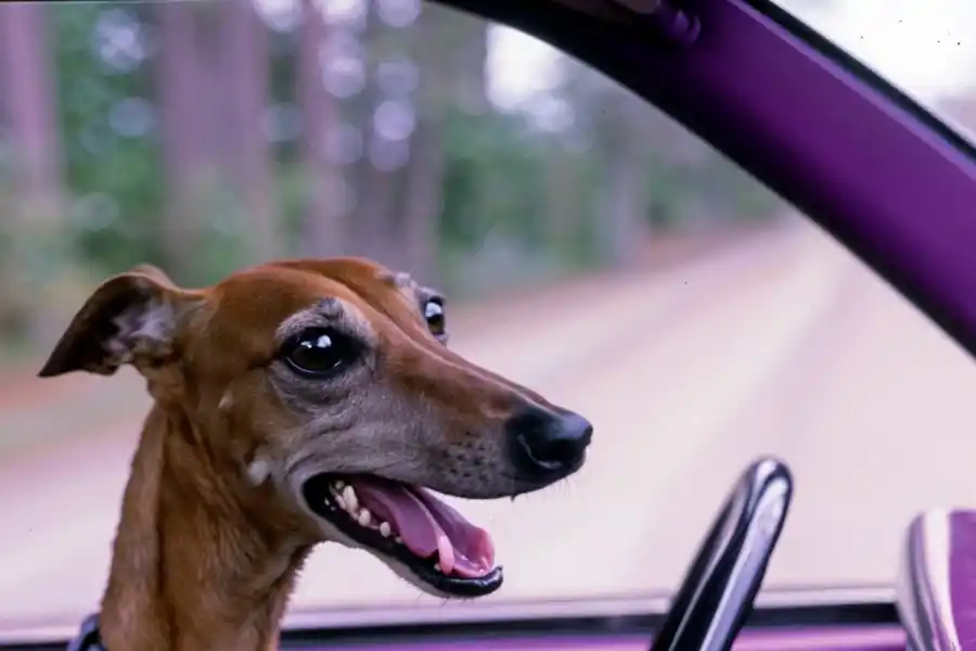 Así se verían los Simpson si fueran reales, según la inteligencia Artificial