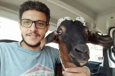 Vegano pagó $35.000 para salvar a una cabra de ser consumida