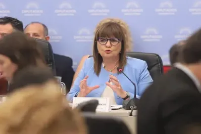 Ley ómnibus: Bullrich dijo que retiraron el artículo que limitaba las reuniones de más de tres personas en la vía pública