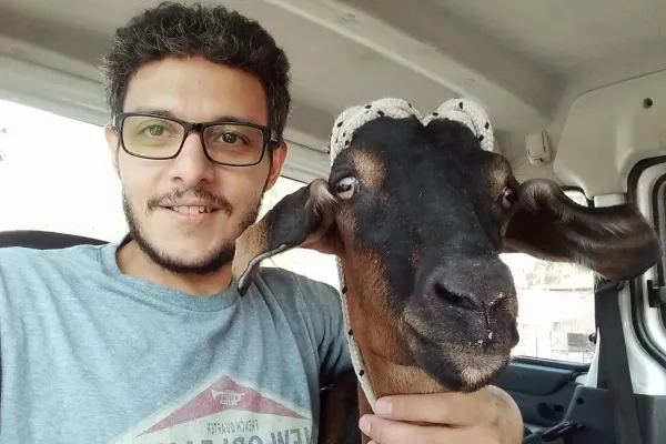Vegano pagó $35.000 para salvar a una cabra de ser consumida