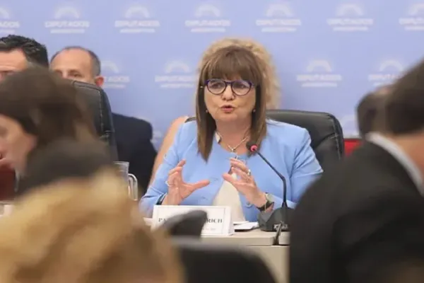 Ley ómnibus: Bullrich dijo que retiraron el artículo que limitaba las reuniones de más de tres personas en la vía pública