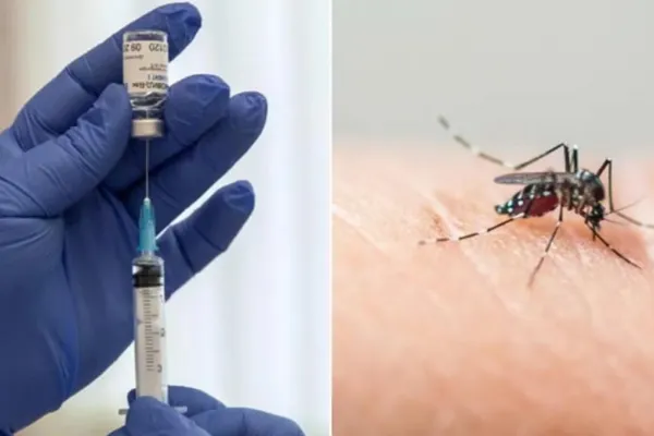 Claudio Viña impulsa un proyecto de ley para que la vacunación contra el Dengue sea gratuita