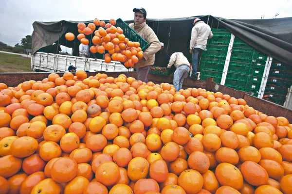 Precios de los agroalimentos: el consumidor pagó $3,5 por cada $1 que recibió el productor