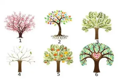 Test de personalidad: elegí un árbol y descubrí lo que más se destaca de tu forma de ser