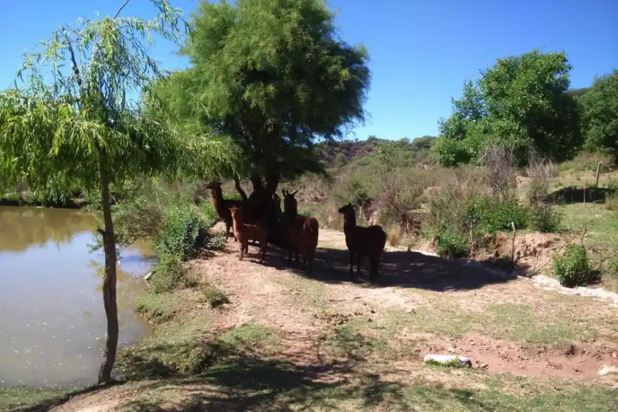 Londres, Hualfín, Pozo de Piedra, Belén y Villa Vil: cinco pueblos catamarqueños que sí o sí tenés que visitar