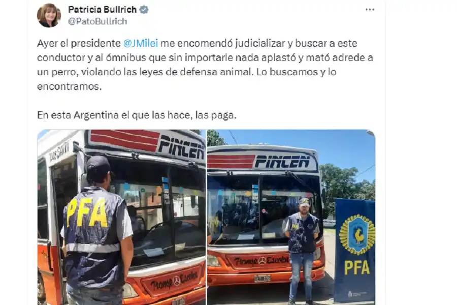 Milei felicitó a Patricia Bullrich por encarcelar a un conductor que atropelló y mató a un perro