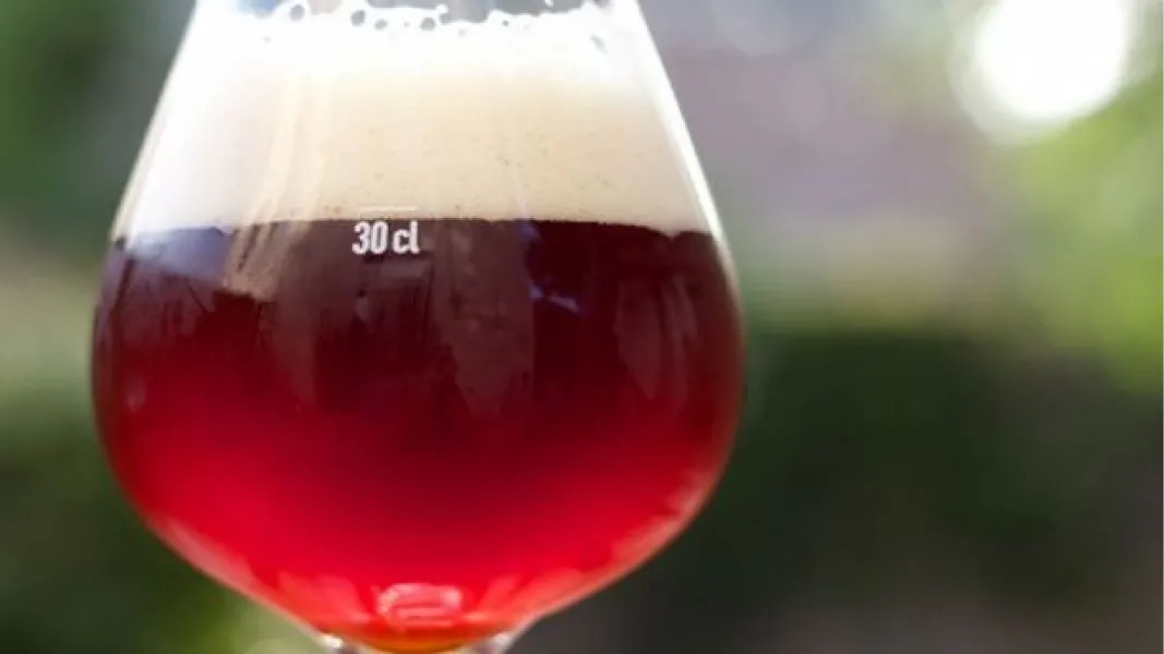 Hoy es el Día del Trabajador Cervecero: ¿cuáles son las que más toman los argentinos?