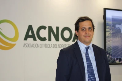 El limón y sus derivados, con arancel cero