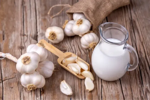 Qué sucede si tomo leche con ajo todas las noches