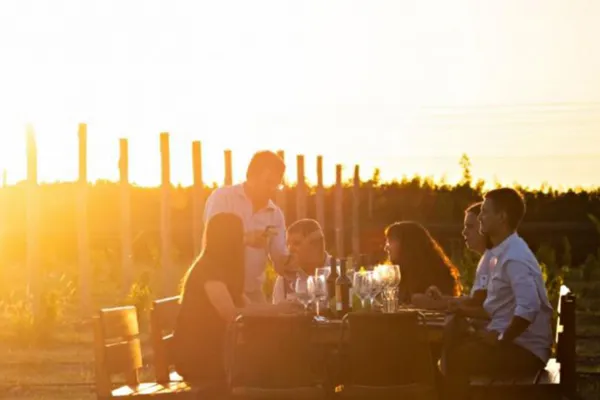 El camino del vino en Córdoba: existen 34 bodegas que podés recorrer