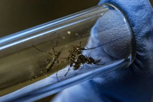 Cómo se combate el dengue en Yerba Buena: Estamos atendiendo entre 200 y 300 consultas diarias