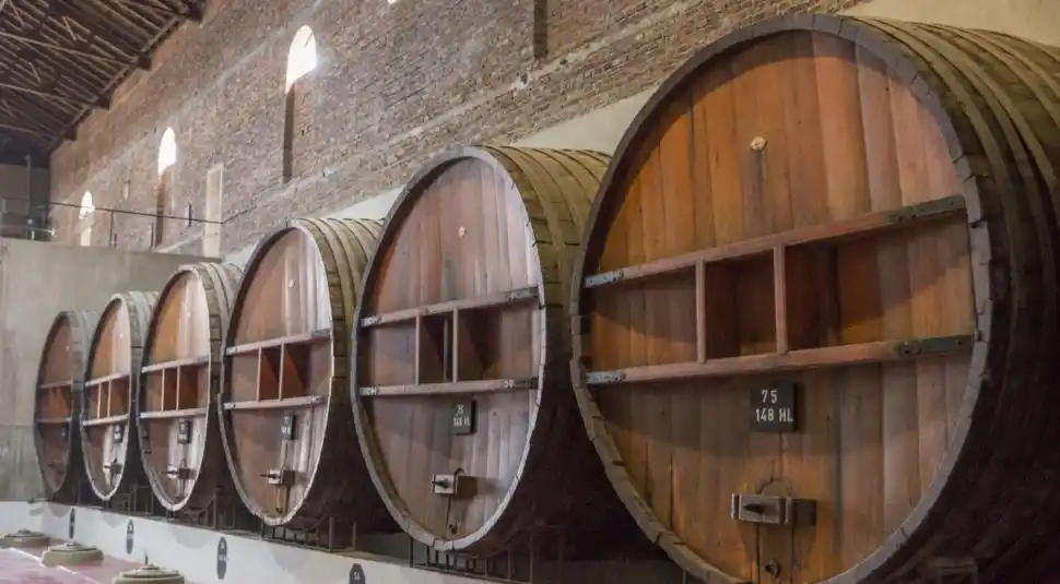 bodega del gredal