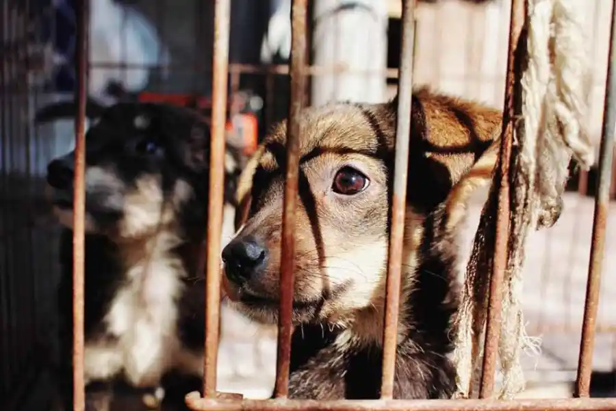 Cambios en Seguridad: los proyectos e ideas que se están manejando