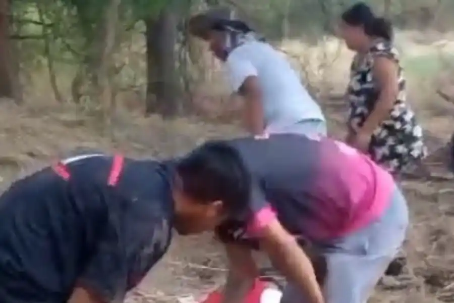 Cambios en Seguridad: los proyectos e ideas que se están manejando