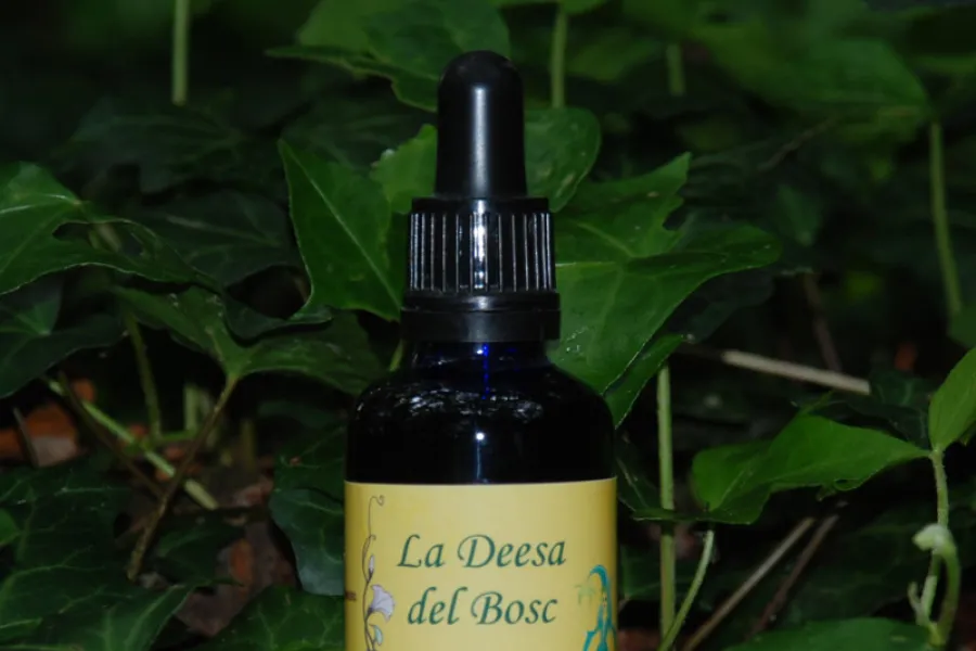 Damiana en extractos.