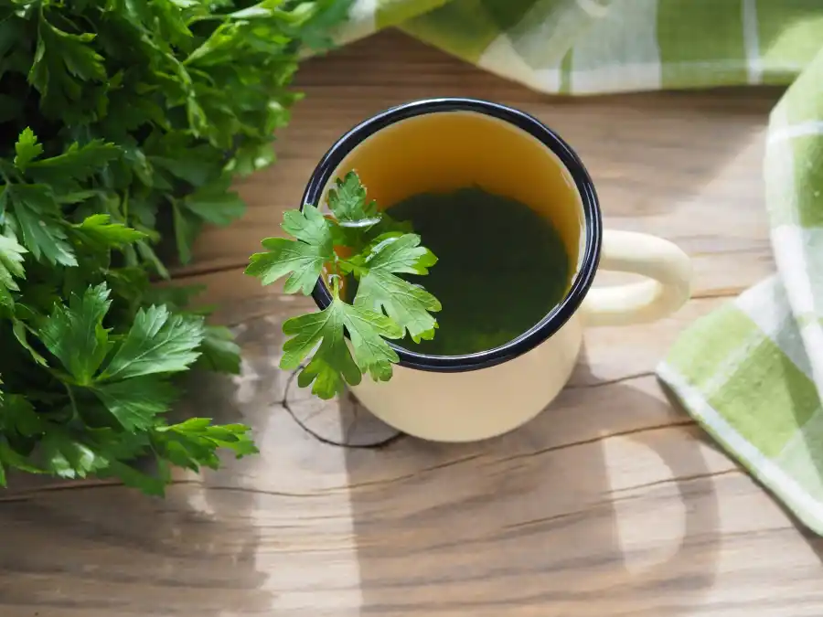 ¿Qué beneficios tiene el té de perejil en ayunas?