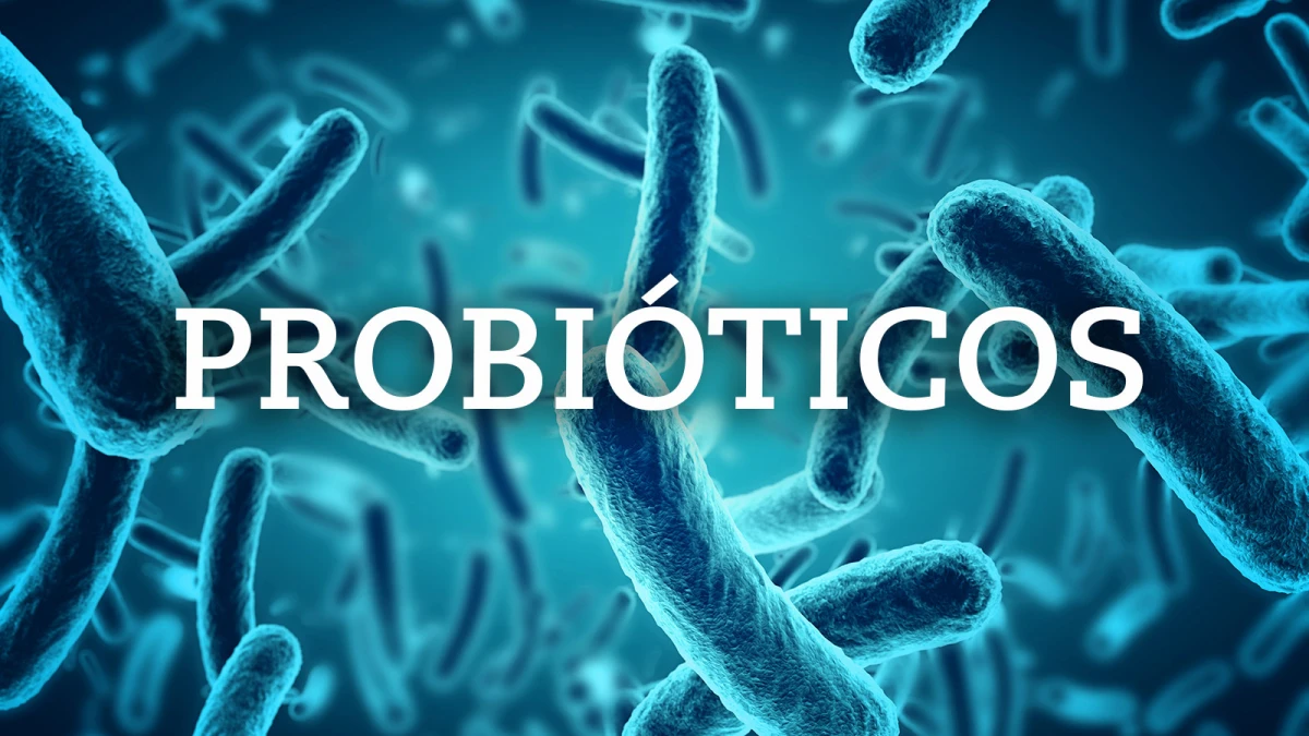 Salud intestinal: cuándo es necesario tomar probióticos para mejorar cualquier síntoma