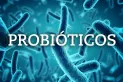 Salud intestinal: cuándo es necesario tomar probióticos para mejorar cualquier síntoma