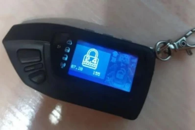 Robo de autos: “Pandora”, tecnología para delinquir