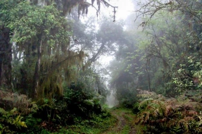 Crónicas fantásticas: la niña de Los Alisos