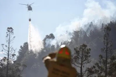 Casi 100 brigadistas, combaten por tierra el incendio en el Parque Nacional Los Alerces