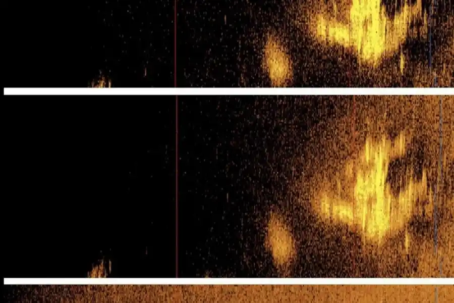 Imagen sonar del fondo marino capturada por Deep Sea Vision