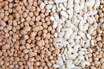 Súper legumbre: tiene más fibra que la avena y el doble de proteínas que el pollo