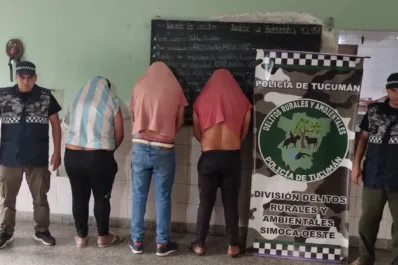 Simoca: trasladaban carne robada en el baúl de un auto y los descubrieron