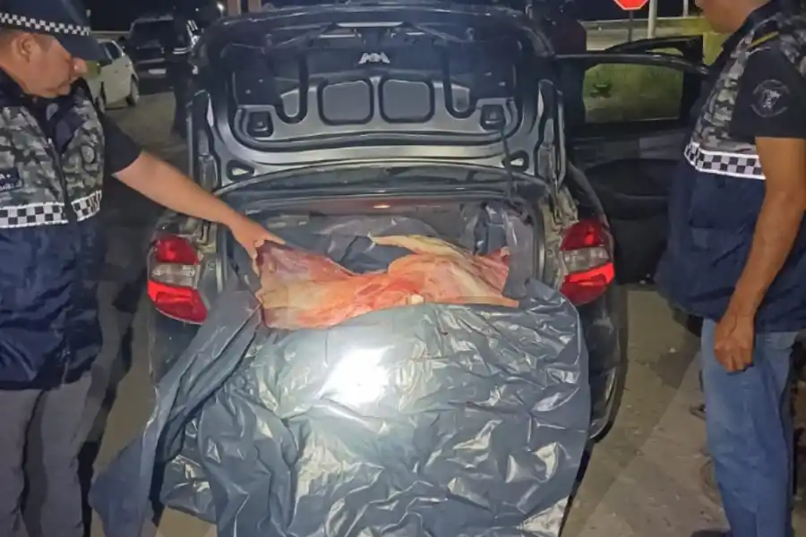 Simoca: trasladaban carne robada en el baúl de un auto y los descubrieron