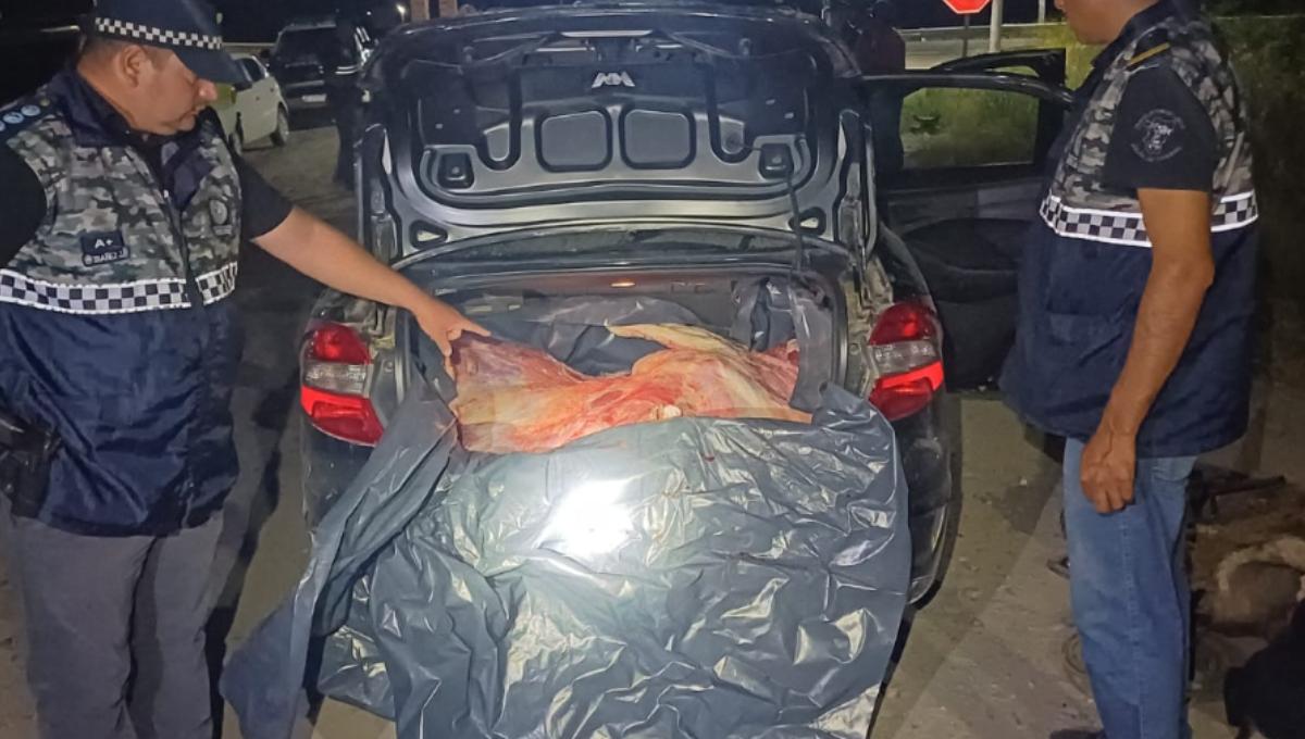 Simoca: trasladaban carne robada en el baúl de un auto y los descubrieron