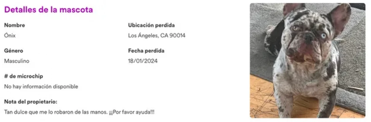 Una mujer se avalanzó sobre un auto en movimiento para evitar que le roben a su perro