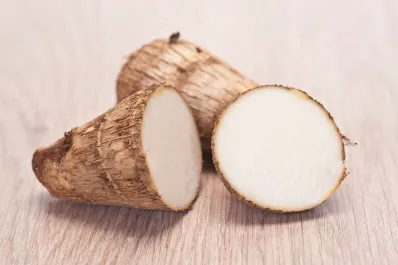 Salud: se parece a la papa y es ideal para fortalecer la memoria