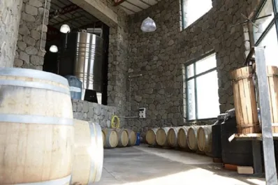 Todo listo para el primer encuentro del vino del lagar Amaicheño