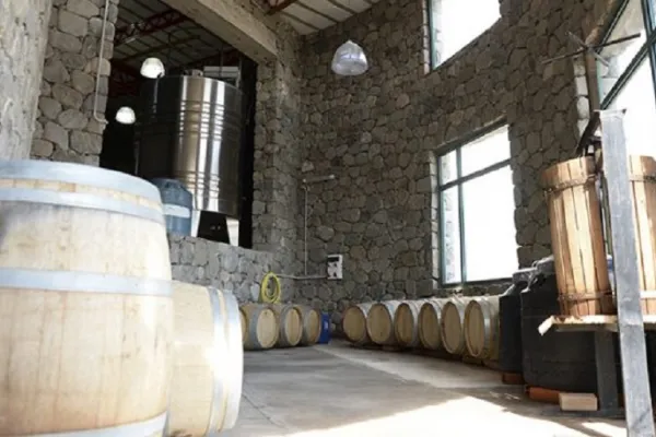 Todo listo para el primer encuentro del vino del lagar Amaicheño