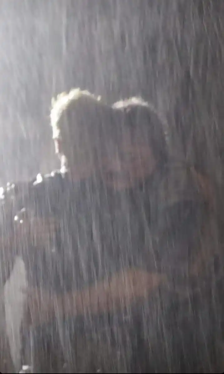  (Instagram @furtadonico)