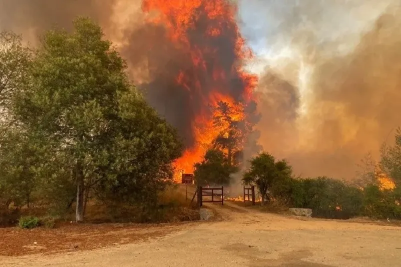 Imágenes impactantes de los incendios en Chile (X//SNOBomberos).