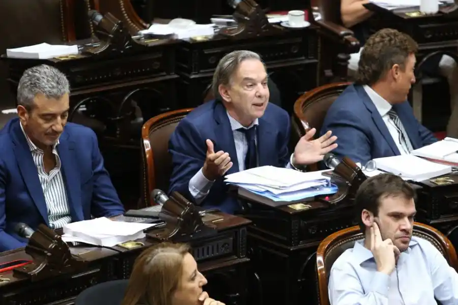 Ley ómnibus: Milei tejió alianzas para ganar en la votación general