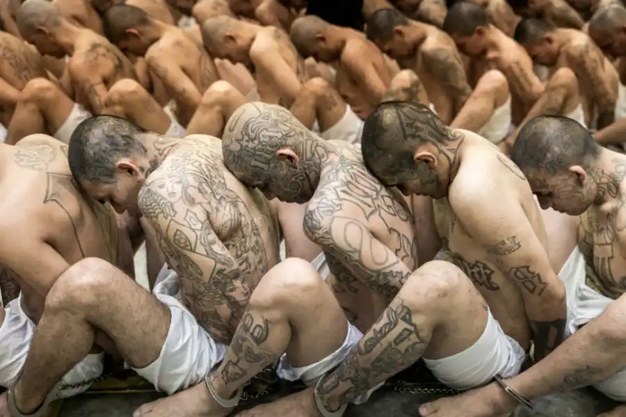 Diez curiosidades de Nayib Bukele, el popular presidente de El Salvador