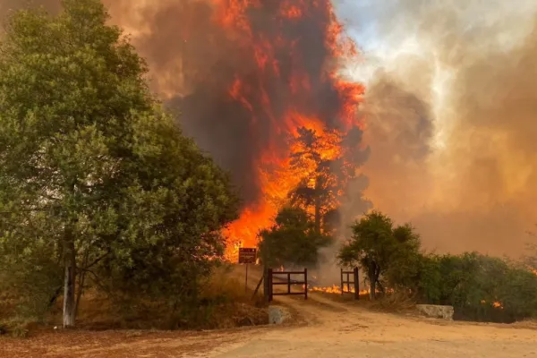 Chile: más de 50 personas murieron debido a los incendios forestales
