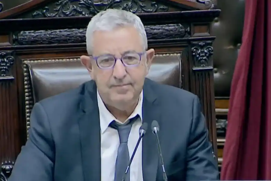 Dimes y diretes: facultades delegadas y privatizaciones